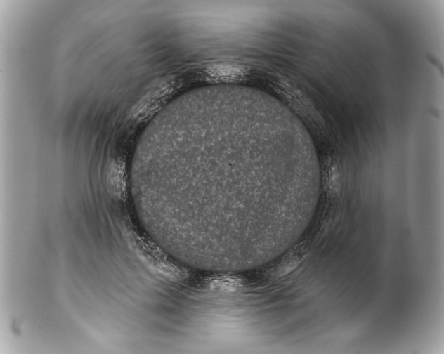 X0000100870599200807071104