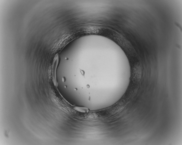 X0000100870600200807071104