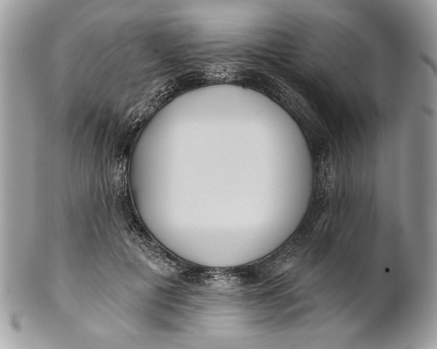 X0000100870601200807071104