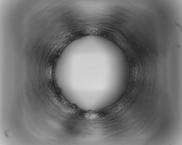 X0000100870602200807071104