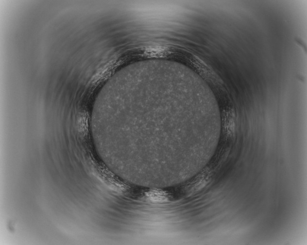 X0000100870603200807071104