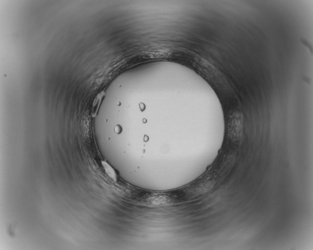 X0000100870604200807071104