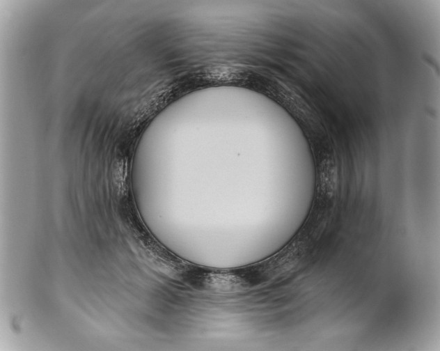 X0000100870605200807071104