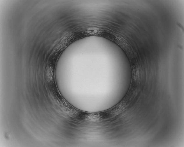 X0000100870606200807071104