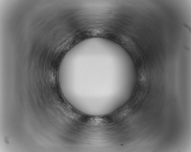 X0000100870607200807071104