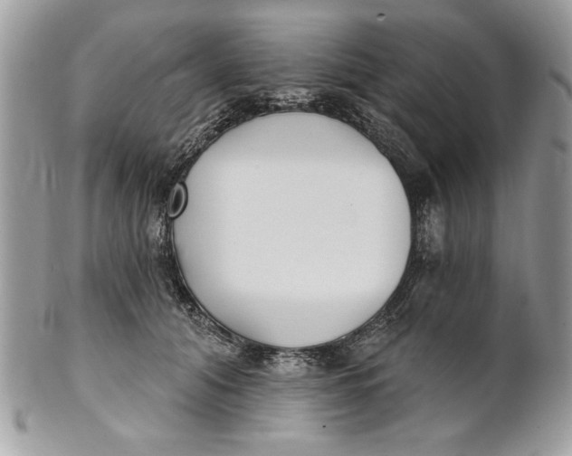 X0000100870608200807071104