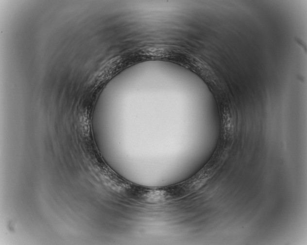 X0000100870609200807071104