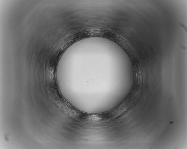 X0000100870610200807071104