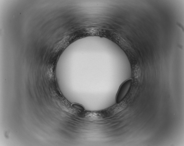 X0000100870611200807071104