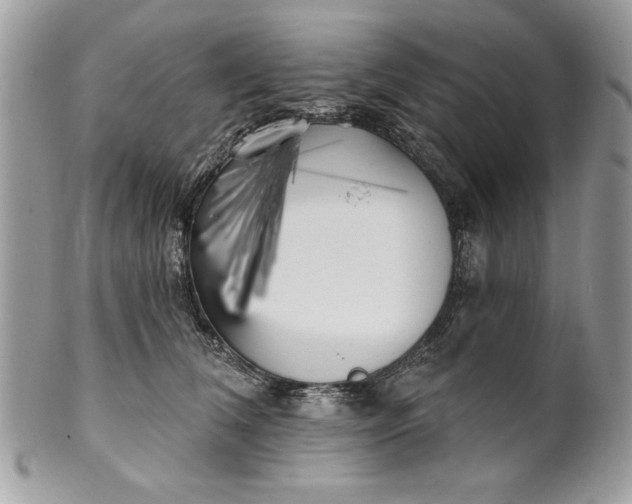 X0000100870612200807071104