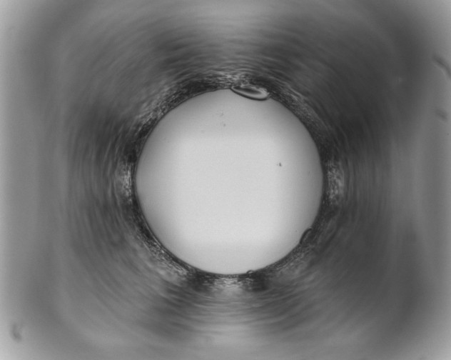 X0000100870613200807071104