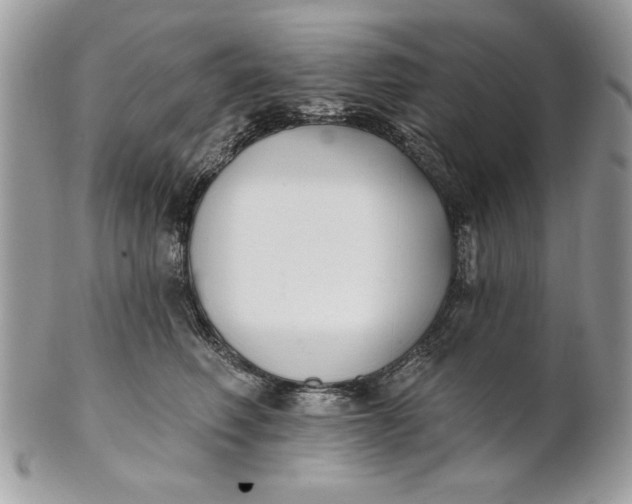 X0000100870614200807071104