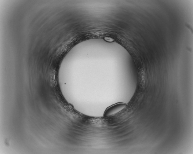 X0000100870615200807071104