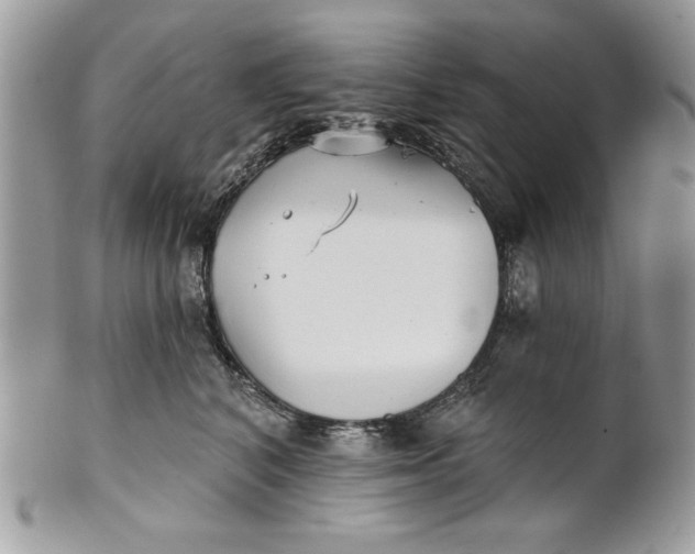 X0000100870616200807071104