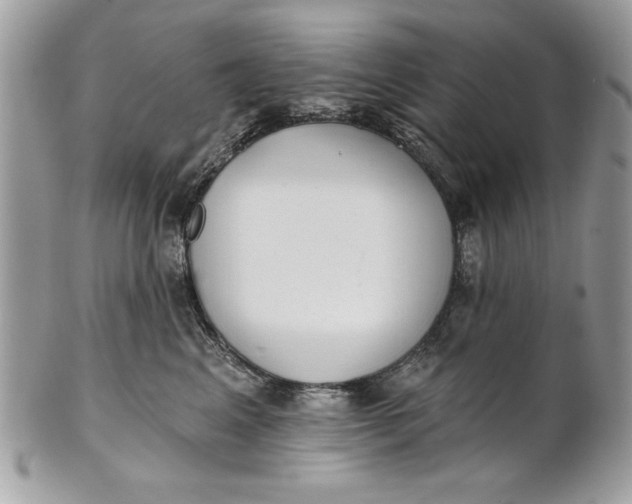 X0000100870617200807071104