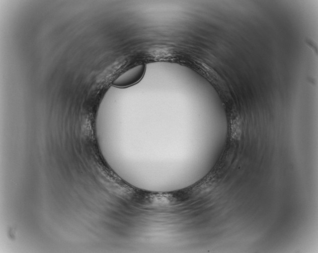 X0000100870618200807071104