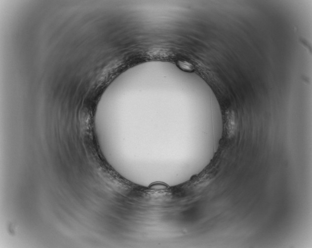 X0000100870619200807071104