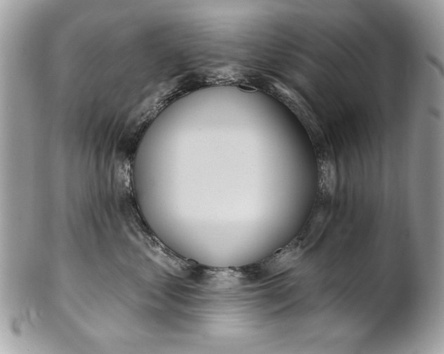 X0000100870621200807071104