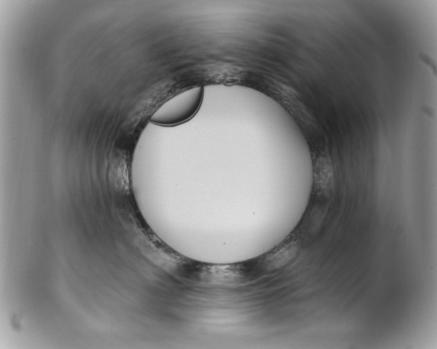 X0000100870622200807071104