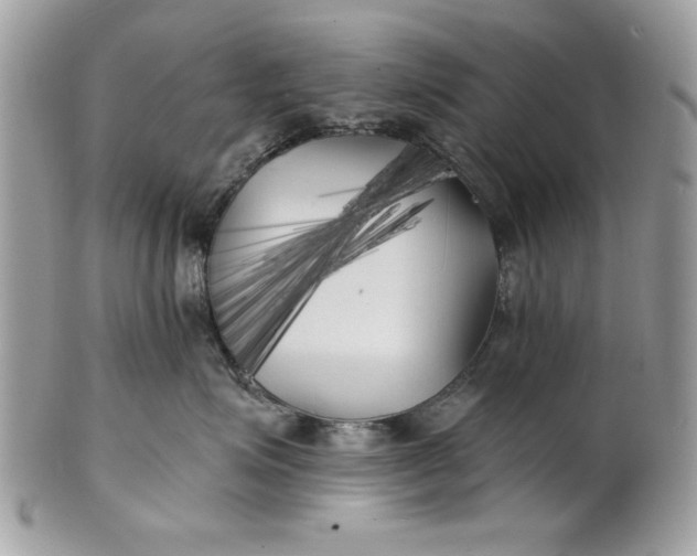 X0000100870623200807071104