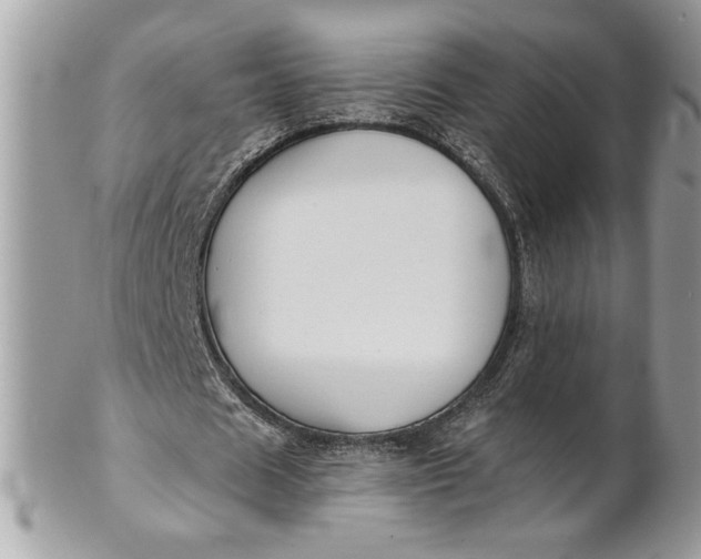 X0000100870625200807071103