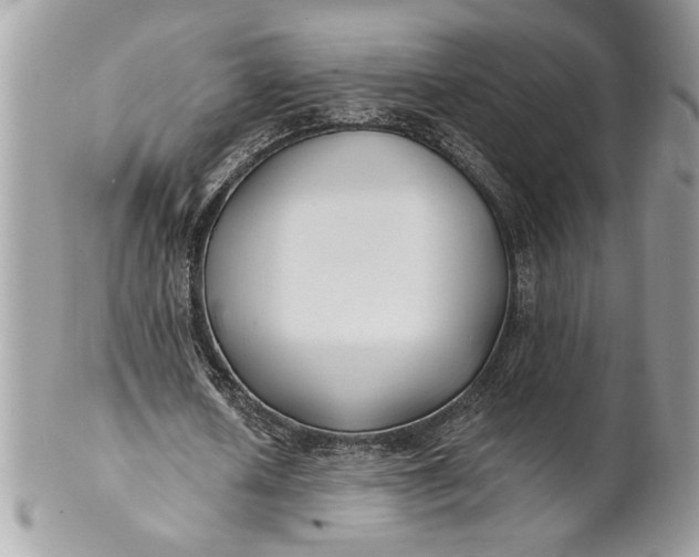 X0000100870626200807071103