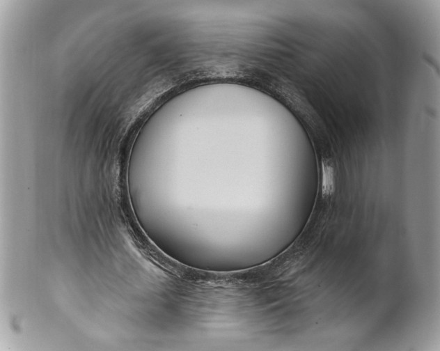 X0000100870627200807071103