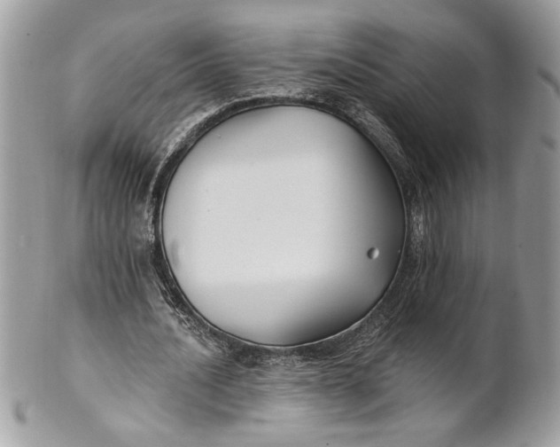 X0000100870628200807071103