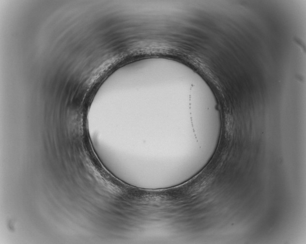 X0000100870629200807071103