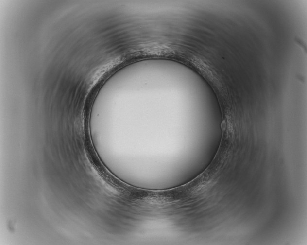 X0000100870630200807071103