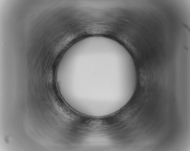 X0000100870631200807071103