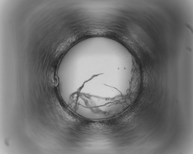 X0000100870633200807071103