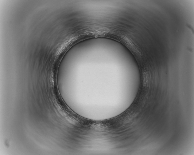 X0000100870634200807071103