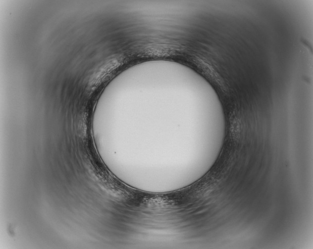 X0000100870635200807071103