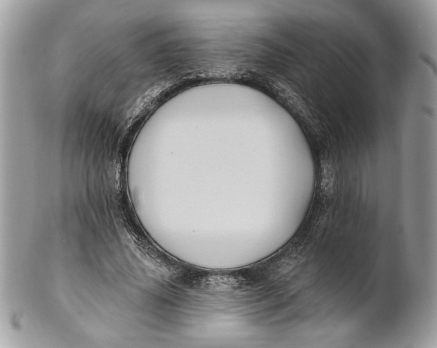 X0000100870636200807071103