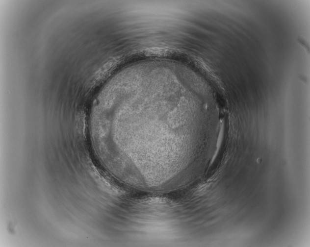 X0000100870637200807071103