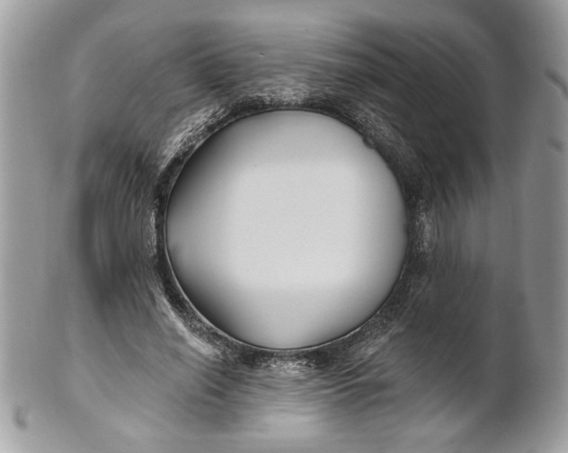 X0000100870638200807071103