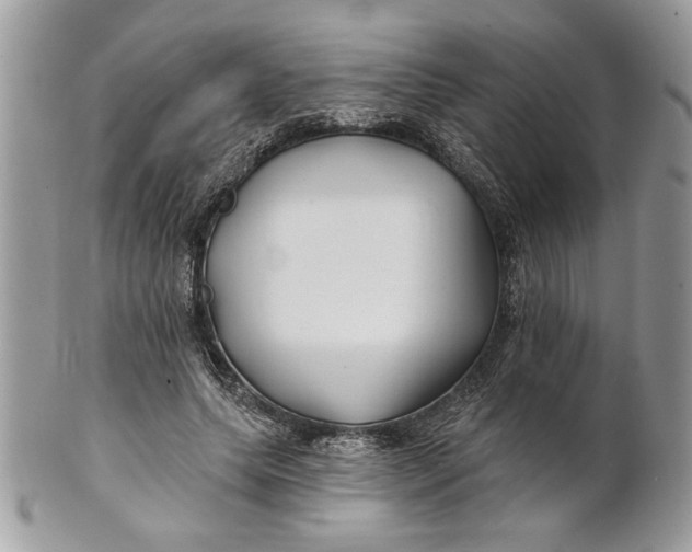 X0000100870639200807071103