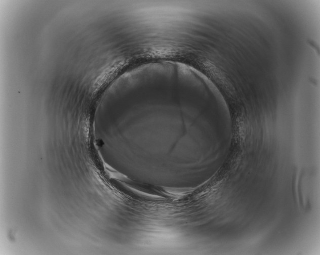 X0000100870640200807071103