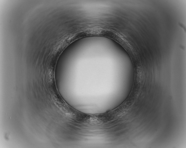 X0000100870641200807071103