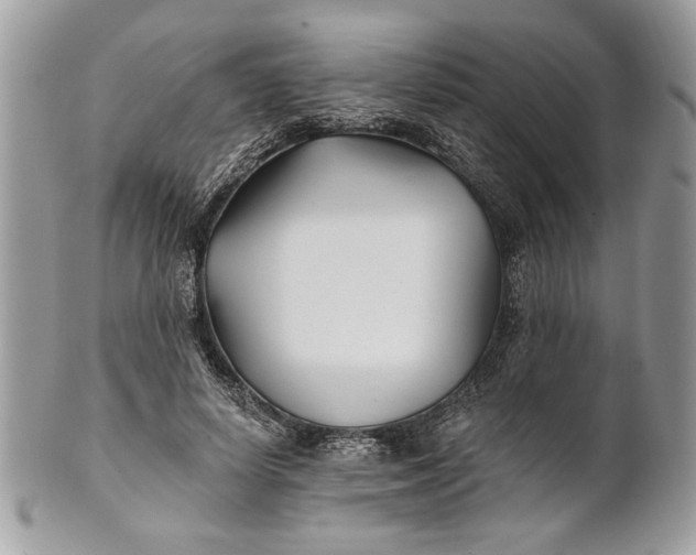 X0000100870642200807071103