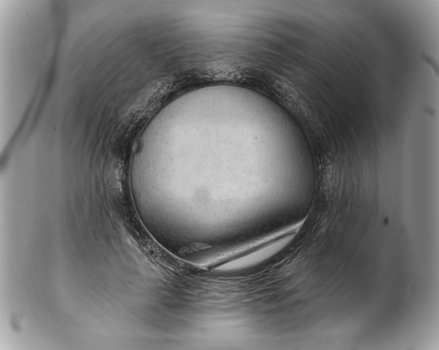 X0000100870643200807071103