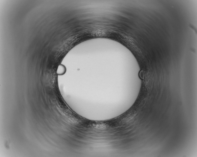 X0000100870645200807071103