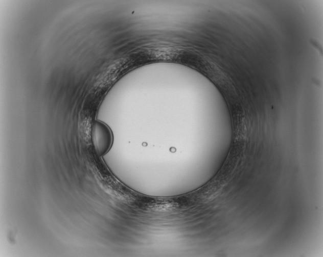 X0000100870646200807071103