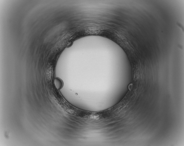 X0000100870647200807071103