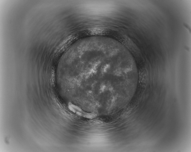 X0000100870648200807071103