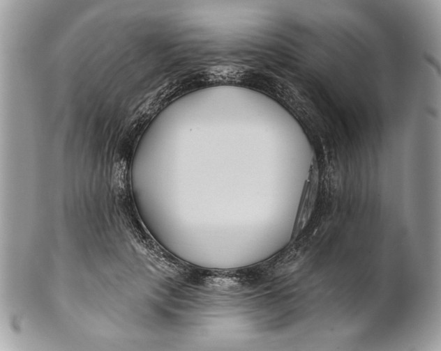 X0000100870649200807071104