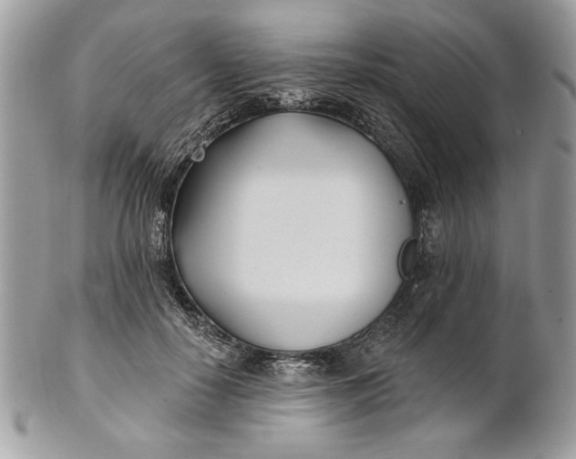 X0000100870650200807071104