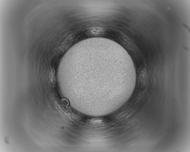 X0000100870651200807071104