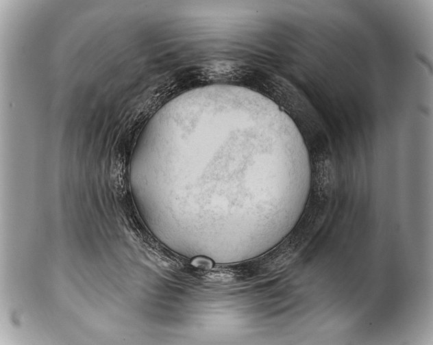 X0000100870653200807071104